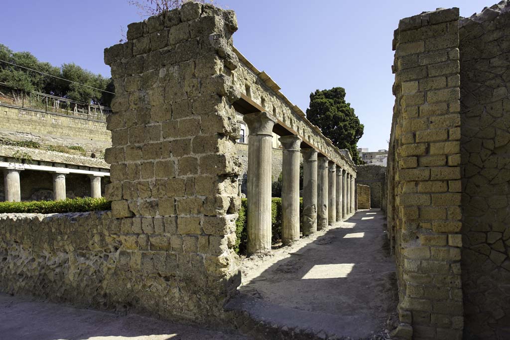 II.1 Herculaneum, August 2021.
Modern doorway linking to peristyle of II.2 Casa d’Argo, on north side of atrium. Photo courtesy of Robert Hanson